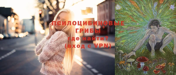 синтетический гашиш Алексин